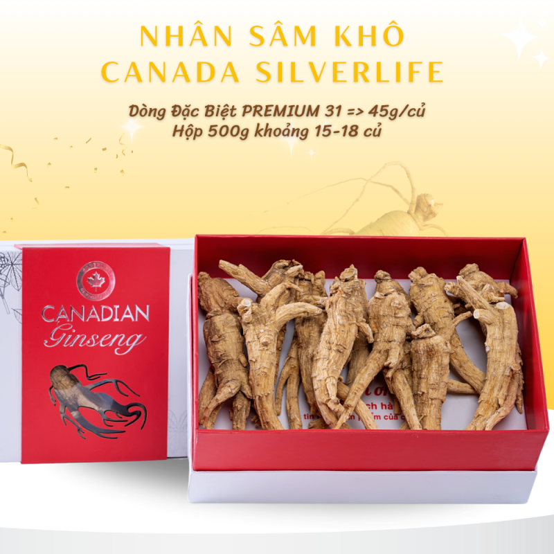 Nhân Sâm Canada SilverLife Nguyên Củ Premium 500g
