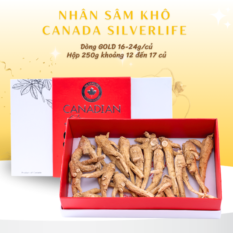 Nhân Sâm Canada SilverLife Nguyên Củ Gold Hộp 250g