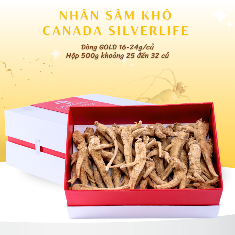Nhân Sâm Canada SilverLife Nguyên Củ Gold Hộp 500g