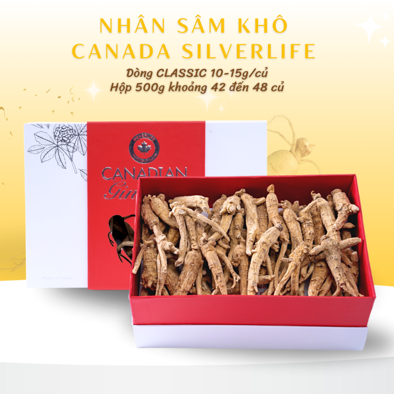 Nhân Sâm Canada SilverLife Nguyên Củ Classic Hộp 500g